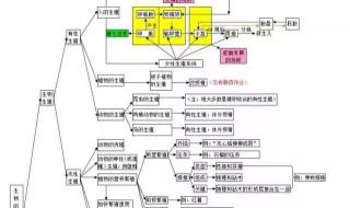 初中生物中考知识点全归纳 初一下册生物知识点